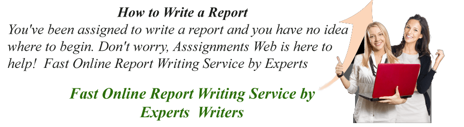 Report Writing Assignment Help